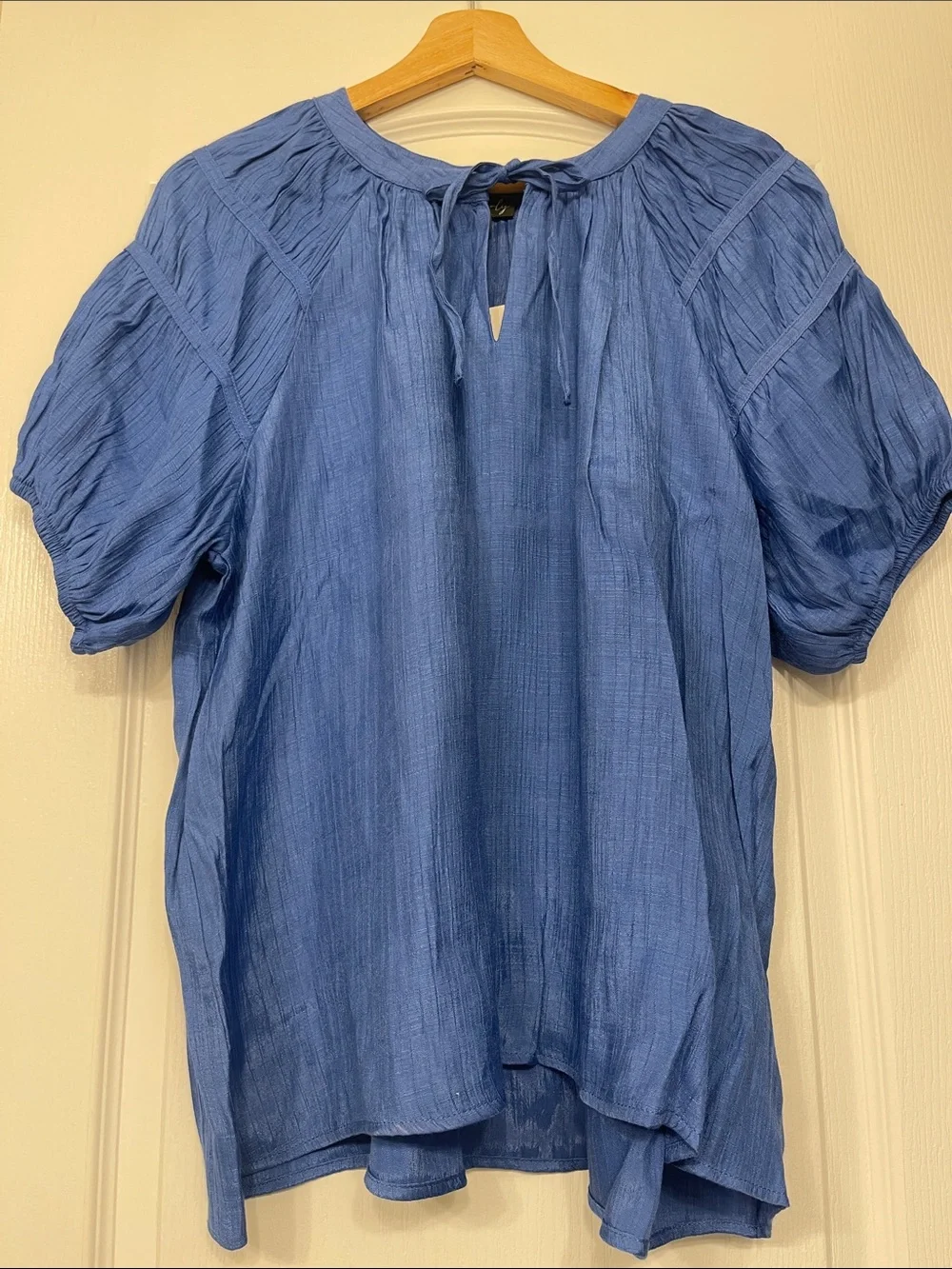 Wonderly Blue Short Sleeve Tie-Neck Peasant Blouse size large, NeW - Picture 1 of 7